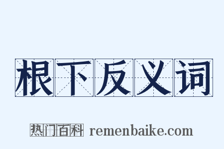 根下反义词是什么意思的图片